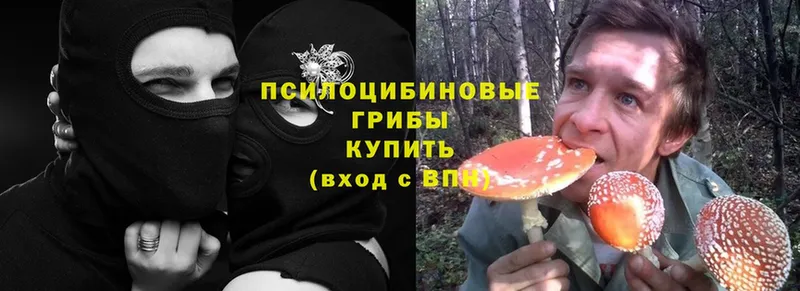 хочу наркоту  shop наркотические препараты  Галлюциногенные грибы MAGIC MUSHROOMS  Злынка 